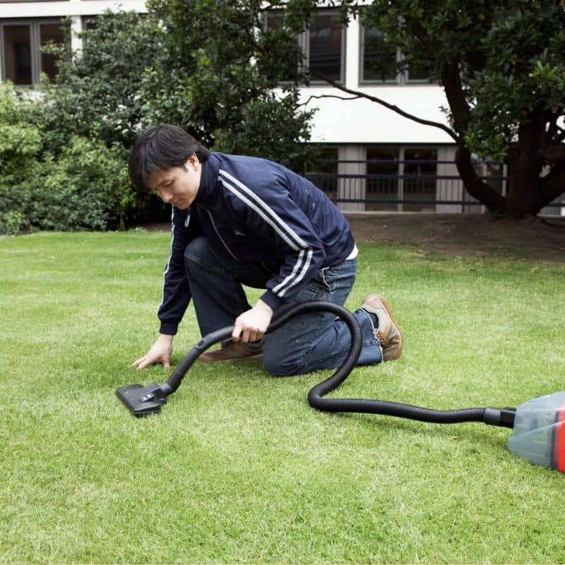 Grass carpet surface cleaning