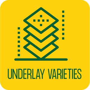 Underlay Varieties