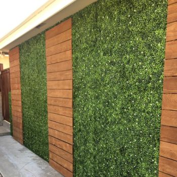 Turf for Walls